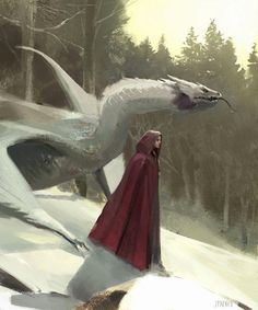 a woman in a red cape standing next to a white bird with its wings spread