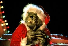 a man dressed as santa claus holding a cat