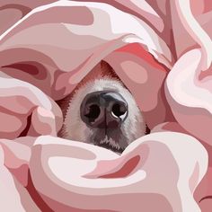 a monkey peeks out from under a pink blanket with his nose poking out through the fabric