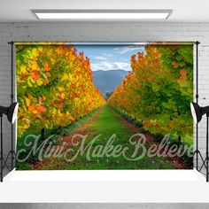 an image of a scenic vineyard scene with the words make believe on it