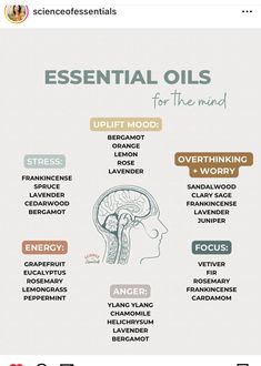 Essential Oils For Massage Therapy, Essential Oil Business Ideas, Essential Oils For Focus, Essential Oil Business, Herb Oil, Essential Oils For Pain