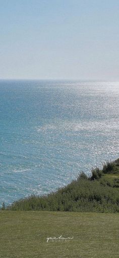 two sheep are grazing on the grass by the ocean