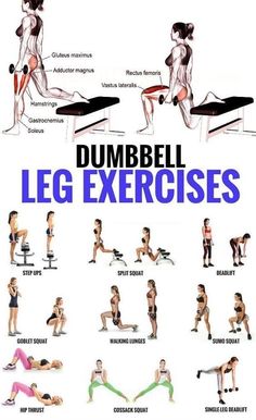 the dumbbell leg exercises poster shows how to do them