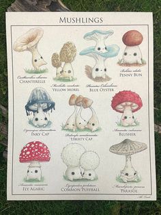 a poster with many different types of mushrooms on it's front cover in the grass