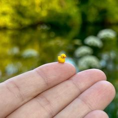 a tiny yellow rubber ducky sitting on someone's finger