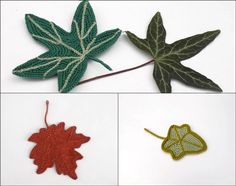 four different types of leaves on white background