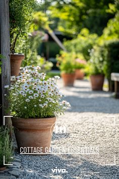 ♥️ Dreaming of a picturesque cottage garden? 🌿✨ Explore charming secret garden ideas and rustic English/French garden inspirations. Find design tips for cottage garden sheds, borders, and plants. Perfect for creating your own tranquil oasis! 🏡🌸 #cottagegarden #dreamgardenideas #rusticgardens #englishgarden #cottagegardendesign #cottagegardeninspiration