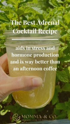 You may have heard of adrenal fatigue, it’s the feeling of fatigue when your adrenals are overworked and undernourished. It can be characterized by a number of different symptoms and an inability to handle stress. Adding in an adrenal cocktail every day can help to replenish your minerals, helping your adrenal glands to recover and function properly. In my own life, I have seen the addition of an adrenal cocktail help with afternoon slumps. Instead of another cup of coffee, I make an adrenal cocktail and enjoy it in the sunshine if possible. Adrenal Cocktail Recipe Pineapple, Adrenal Cocktail Lemonade, Cortisol Cocktail Tumeric, Adrenal Lemonade, Adrenal Sunshine Lemonade, How To Improve Adrenal Function, Adrenal Fatigue Cocktail, Adaptogenic Drinks