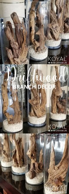 there are many different types of driftwood in glass vases