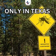 a yellow sign that says only in texas with mosquitoes everywhere on it and trees in the background