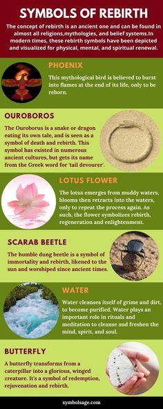 the different types of flowers and their meanings