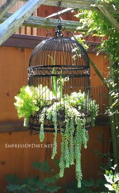 a birdcage filled with plants in front of a wooden wall