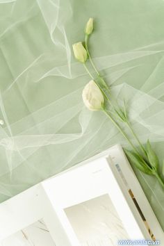 a single white flower sitting on top of a green table cloth next to an open book