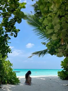 a woman sitting on top of a sandy beach under a tree covered forest next to the ocean