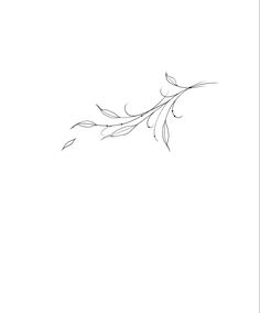 a black and white drawing of a branch with leaves on it's end, against a light gray background