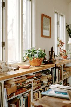 a room filled with lots of books and plants