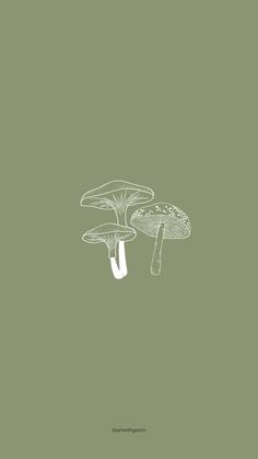 two mushrooms on a green background