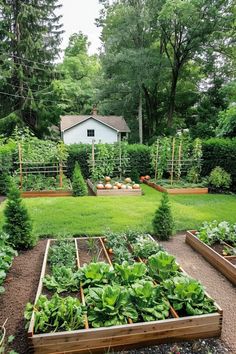 Lush backyard garden with neatly organized raised beds growing a variety of vegetables, framed by tall trees and a small white shed in the background. Gorgeous Vegetable Garden, Veggie Garden Backyard, Backyard Produce Garden, Cute Veggie Garden, Beautiful Vegetable Garden Inspiration, Garden Allotment Ideas, Vego Garden Layouts, Vegetable Patch Ideas