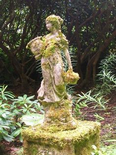 a statue in the middle of a garden surrounded by bushes and trees with moss growing on it