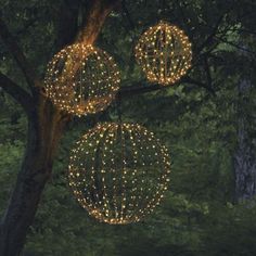 three lighted balls hanging from a tree in the woods