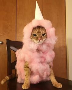 a cat sitting on top of a wooden chair wearing a pink fluffy dress and hat