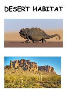 an image of desert habitat with two pictures