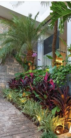 an outdoor garden with plants and lights