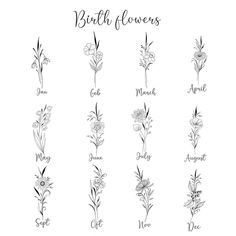 the different flowers are drawn in black and white on a sheet of paper with words written below