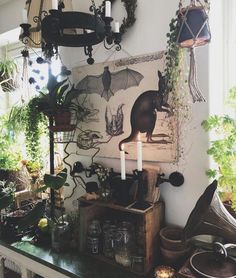 a room filled with lots of plants and decorations on top of a shelf next to a window