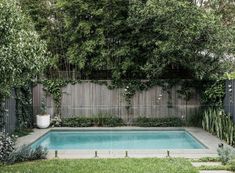 an empty pool surrounded by greenery in the middle of a backyard with a wooden fence