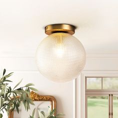 a white ball light hanging from the ceiling in a living room next to a potted plant