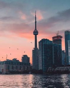 a city skyline with birds flying in the sky and water around it at sunset or dawn