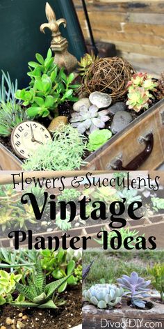 flowers and succulents in an old trunk with the words vintage planter ideas