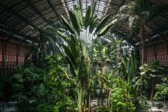 the inside of a building with lots of trees and plants in it's center