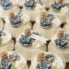 there are many cupcakes that have succulents on them