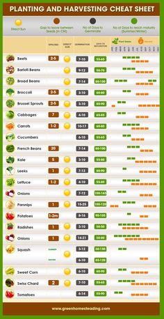 the chart shows how many different types of vegetables are grown