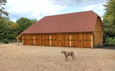 a dog standing in front of a wooden barn with two garage doors on it's side