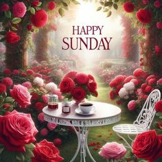 Happy Sunday Afternoon, Happy Sunday Flowers, Sunday Flowers, Morning Sunday, Steve Burton, Flowers Quotes, Happy Friendship