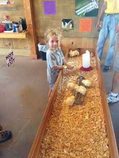 a little boy standing in front of a wooden table filled with mushrooms and other items