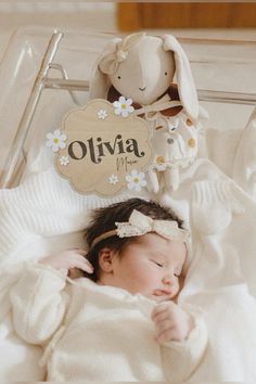 a baby is laying in a crib with a stuffed animal and name plate on it