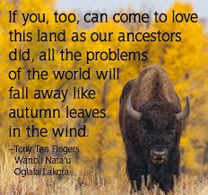 a bison standing on top of a dry grass field with trees in the back ground