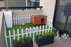 a dog stands in front of a fake fence with plants and a wooden crate on the grass