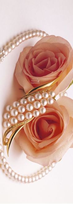 Apricot Wedding, Roses And Pearls, Interesting Hair, Gentlemen's Club, Peach Aesthetic, Peach Blush, Peaches Cream