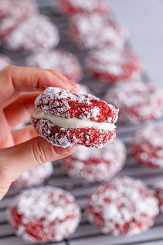 a hand holding a powdered sugar cookie over a cooling rack with more cookies in the background