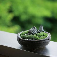 a bowl filled with moss sitting on top of a window sill