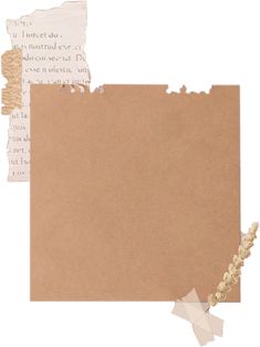 an image of torn paper with flowers and leaves on it's edges, including one piece of brown paper