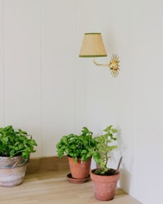 three potted plants sit on a wooden table in front of a wall mounted lamp