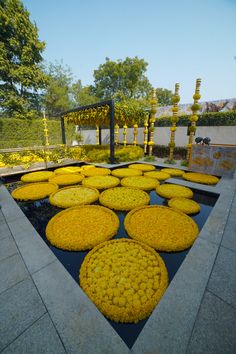 yellow flowers are arranged in the middle of a water feature