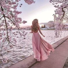 a woman in a pink dress walking by the water with cherry blossom trees around her