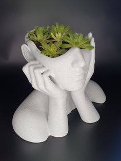 there is a planter made to look like a woman's head with succulents in it